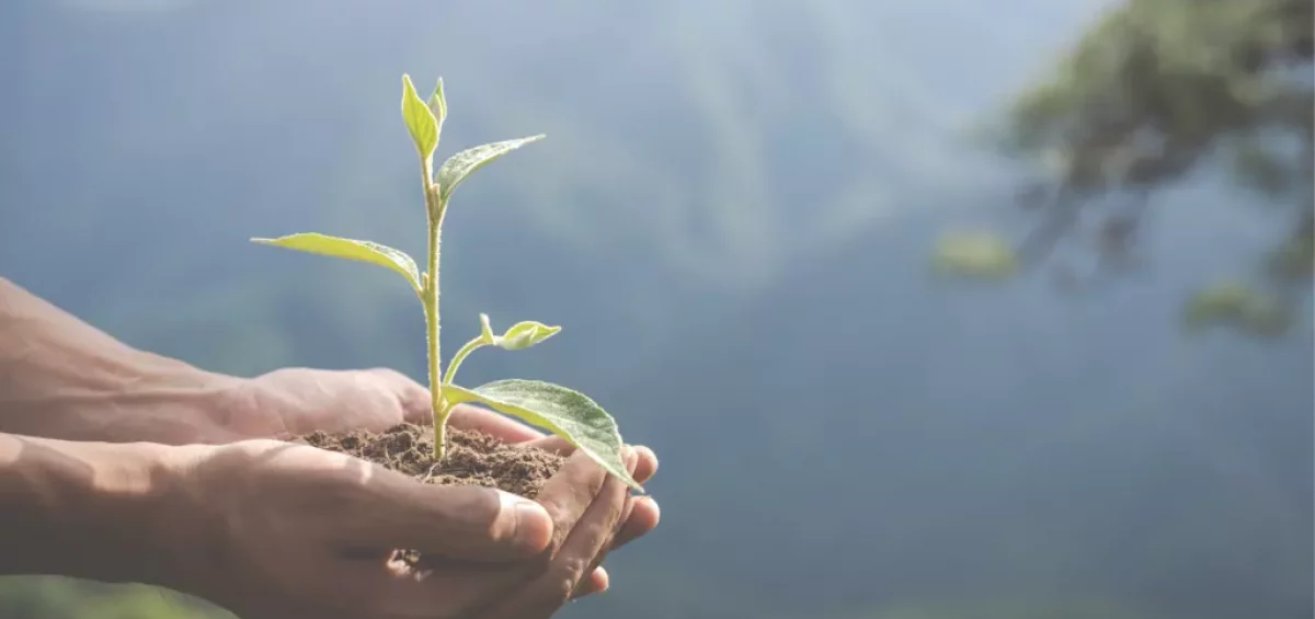 SCPI : les nouvelles règles écologiques peuvent-elles fragiliser le marché ?