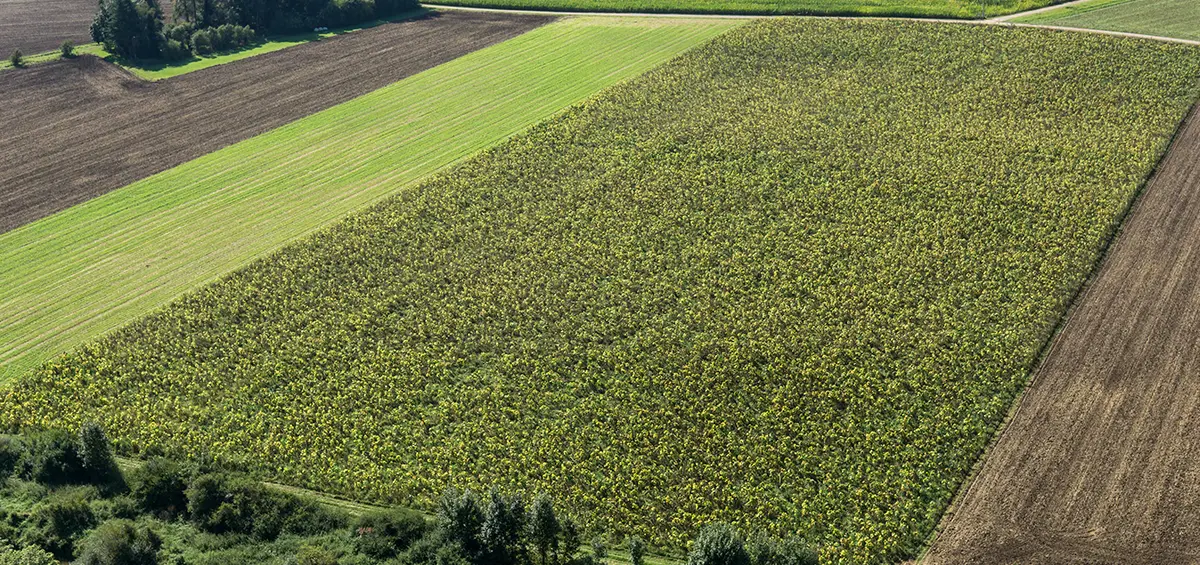 Zone agricole ou naturelle : possibilités de construction ? — mise à jour 2022