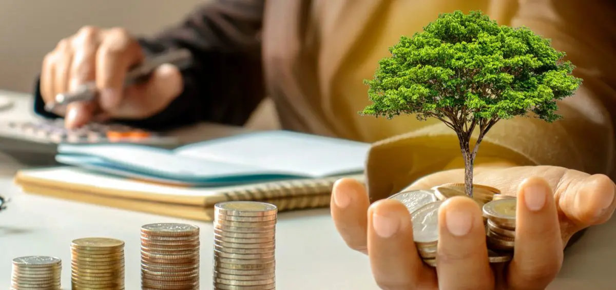 Investissement immobilier : qui est le plus rentable ?